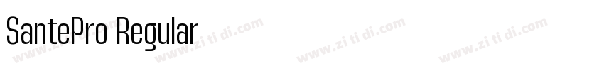 SantePro Regular字体转换